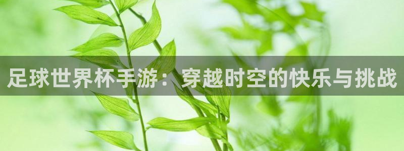 世界杯球赛：足球世界杯手游：穿越时空的快乐与挑战
