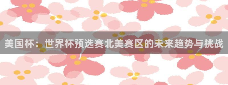 足球杯：美国杯：世界杯预选赛北美赛区的未来趋势与挑战