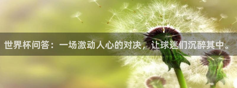 世界杯足球比赛：世界杯问答：一场激动人心的对决，让球迷们沉醉其中。