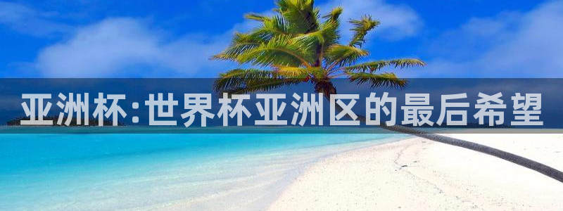 世界杯视频：亚洲杯:世界杯亚洲区的最后希望
