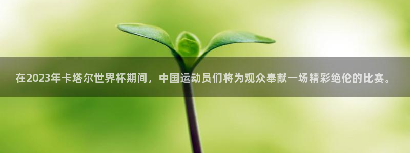 世界杯决赛直播：在2023年卡塔尔世界杯期间，中国运动员们将为观众奉献一场精彩绝伦的比赛。