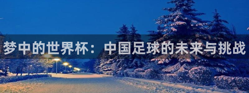 2026足球世界杯赛程时间表：梦中的世界杯：中国足球的未来与挑战