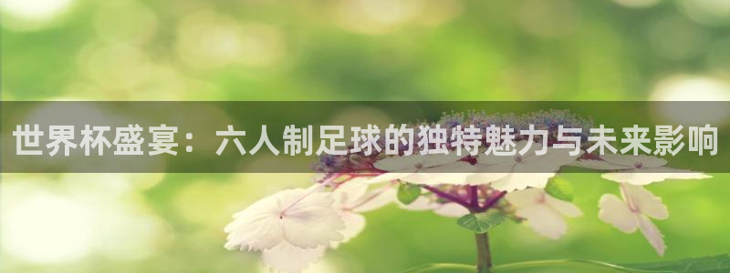 世界杯2026比赛时间表：世界杯盛宴：六人制足球的独特魅力与未来影响