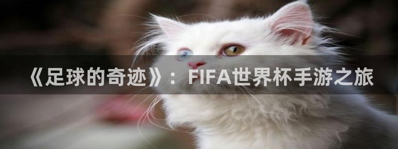 世界杯欧洲区预选赛赛程：《足球的奇迹》：FIFA世界杯手游之旅