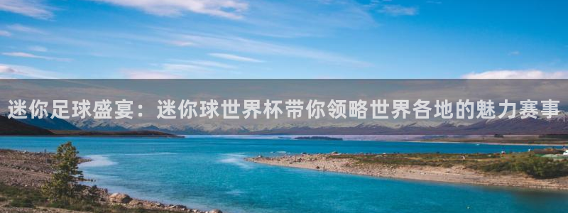 世界杯16强赛程表：迷你足球盛宴：迷你球世界杯带你领略世界各地的魅力赛事