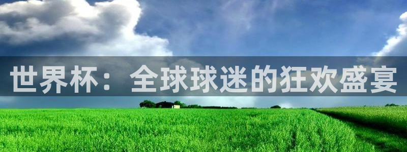 2006世界杯：世界杯：全球球迷的狂欢盛宴