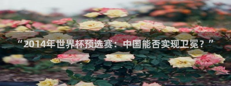 足球杯：“2014年世界杯预选赛：中国能否实现卫冕？”