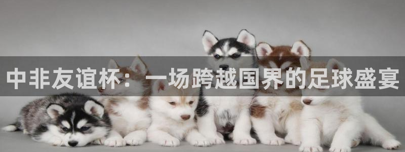 世预赛赛程表：中非友谊杯：一场跨越国界的足球盛宴
