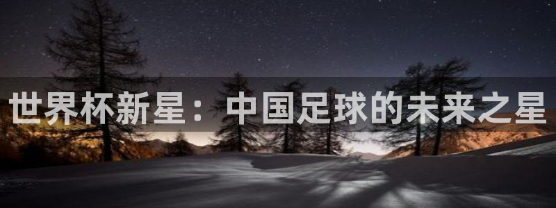 足球世界杯2026：世界杯新星：中国足球的未来之星