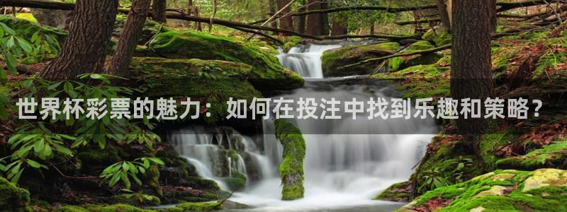 亚洲杯比赛直播：世界杯彩票的魅力：如何在投注中找到乐趣和策略？